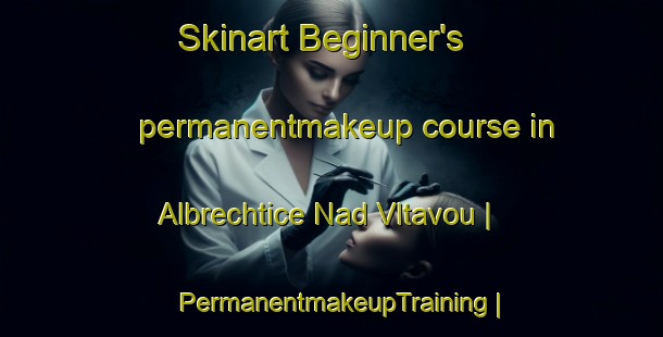 Skinart Beginner's permanentmakeup course in Albrechtice Nad Vltavou | PermanentmakeupTraining | PermanentmakeupClasses | SkinartTraining-Czech Republic